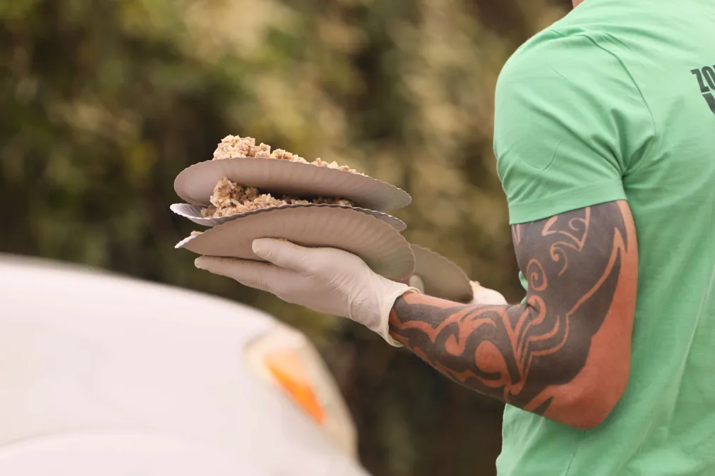 Volunteering with Zola's Paw Project